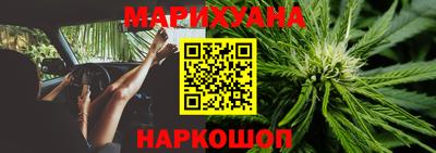 крисы Коммунар