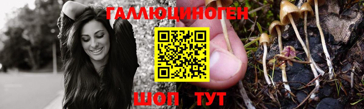 Конаково  Псилоцибиновые грибы мухоморы  купить   Вход с VPN 